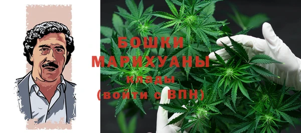 гашик Балахна
